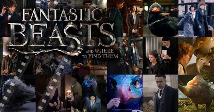 Fantastic Beasts and Where to Find Them' movie stills — Harry Potter Fan  Zone