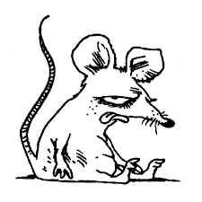 coloriage un rat a imprimer gratuit dessin image animaux licorne