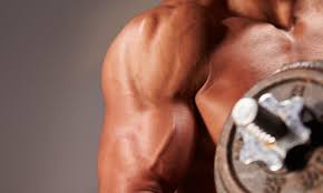 May 12, 2014 · the popularity of natural bodybuilding is increasing; Gym Eat Repeat The Shocking Rise Of Muscle Dysmorphia Body Image The Guardian