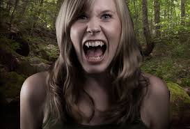 Hamilton County NY News