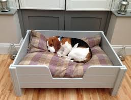 This adorable little man chewed the last dog bed i bought him that cost me $30. Diy Raised Outdoor Dog Bed Crazypurplemama