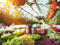 We routinely offer open house events, plant sales. Garden Centres Reopening Everything You Need To Know The Independent