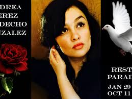 Fundraiser by Grace Alvarez : Andrea Perez Landecho Gonzalez Funeral  Expenses