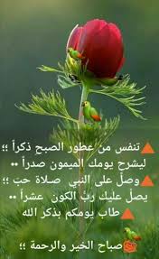 صباح الخير عصفور ورد good morning gif images good morning quotes good morning greetings