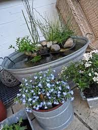 Image Result For Zinkwanne Bepflanzen Mit Bildern Zinkwanne Bepflanzen Bepflanzung Zinkwanne
