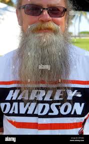 Harley davidson shirt hi-res stock photography and images