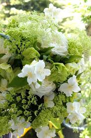 花屋 長岡市 花屋利平 花屋利平のこだわり きれいな花 美しい花 花 アレンジメント