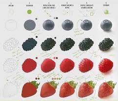 تلوين رقمي لانواع من التوتيات وذلك باضافة اللون الاساسي ثم الظل والنور ثم التفاصيل الدقيقة ثم ا digital art tutorial digital painting tutorials fruits drawing