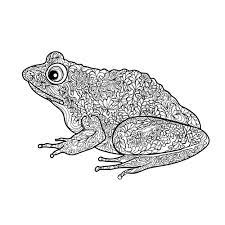 Maybe you would like to learn more about one of these? Pin On Color It