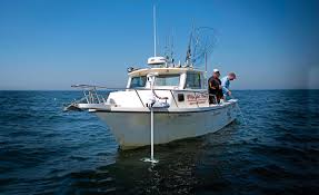 Maybe you would like to learn more about one of these? The Trolling Motor Advantage The Fisherman