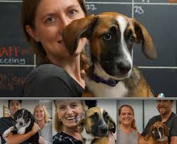 On the bottom: Oaxaca puppies Margaret, Georgette and Slinky with their  wonderful Secondhand Hounds fosters. On the top: Oaxaca puppy Elizabeth  with her rescuer and transporter Nikki. Nikki has nurtured these pups