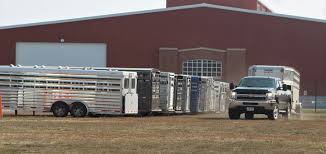 Wedding & event barn kits. Grand Island To Host Livestock Show In January In Place Of Denver National Western Stock Show Grand Island Local News Theindependent Com