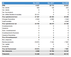 Zoom Sur Le Budget Previsionnel De Tresorerie