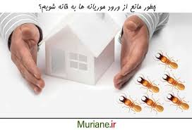 ‫سم موریانه‬‎