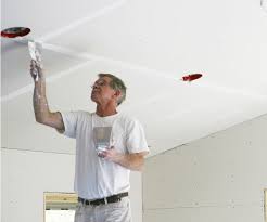 Possono essere tinteggiati normalmente, possono essere tagliati e modellati anche per orditure non perfettamente squadrate. Controsoffitti Fai Da Te In Cartongesso