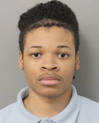 Houston Police Robbery added a...