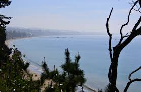 Check spelling or type a new query. Camping At New Brighton State Beach Weekend Campervanning