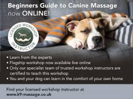 How to massage your dog. Beginners Guide To Canine Massage Canine Massage Therapy Centre