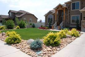 Scenic View Landscape