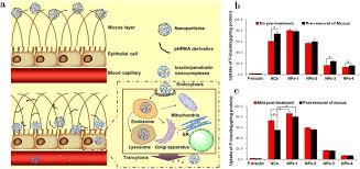 Animal cell organelle delivery man/courier. Adapted Nano Carriers For Gastrointestinal Defense Components Surface Strategies And Challenges Sciencedirect