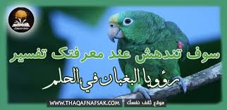 تفسير الببغاء في الحلم ثقف نفسك