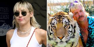 Exotic first appeared in louis theroux's 2011 documentary america's most dangerous pets. Fans Think Miley Cyrus Mullet Looks Like Joe Exotic S From Tiger King