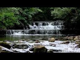 Pin On Nature Sounds