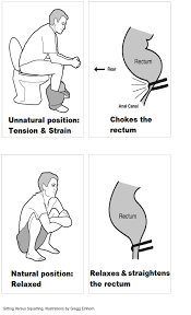 Image result for indian toilets images