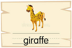 Study Flashcards To Learn Spelling English Words A Single Word With A Corresponding Object To Help In Study And Remembering Bas Stock Illustration Illustration Of Educate Show 118603541