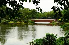 Wildlife center has a lagoon, an aquarium, a playground, botanical garden and a wildlife rescue center, which the department of environment and natural resources. Eagle Picture Of Ninoy Aquino Parks And Wildlife Center Luzon Tripadvisor