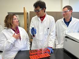 From Idea to Impact: D2P Empowers UW Innovators