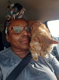 may cute cat "miya"❤️❤️❤️ #followers #highlightseveryonefollowers2025  #highlights #catlover