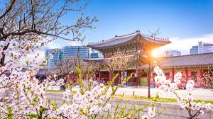 See more ideas about tour guide, korea, tours. South Korea 2021 Top 10 Tours Trips Activities With Photos Things To Do In South Korea Getyourguide