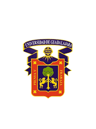 We did not find results for: Logo De La Udg En 2021 Guadalajara