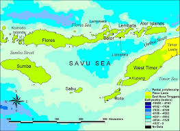 Tipe lain yang juga banyak tersebar di kawasan indonesia adalah fauna peralihan. 1 The Savu Sea And The Surrounding Islands Download Scientific Diagram