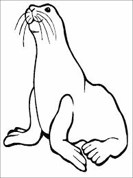 Sea Lion Coloring Page For Kids Coloring Pages Lion Coloring Pages Ocean Coloring Pages Animal Coloring Pages
