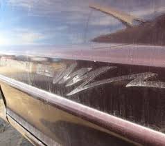 Image result for Wildberry 1993 Shadow