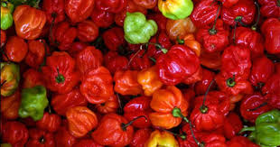 Piments Des Antilles Guadeloupe Piment Piment Antillais Guadeloupe