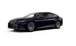 Image result for Manganese Luster 2025 LZ