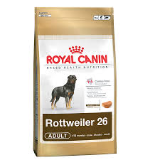 The rottweiler price is important to know when you start looking into this dog breed. Buy Online Pet Supplies Pet Shop Rspca Pet Warehouse Worldforpets