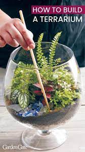 Check Out Our Tips For Building A Perfect Terrarium Terrarium Diyproject Terrariumgarden Gardengatemaga Build A Terrarium Terrarium Diy Succulent Terrarium