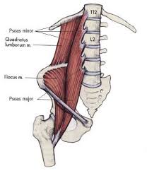 These muscles give the lower back the stability it's craving to cure pain quickly. Hip Flexor And Low Back Stretches For Cycling Wenzel Coaching