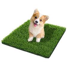 Check spelling or type a new query. What Is The Best Dog Artificial Grass Mat Neeness