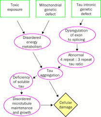 References In Progressive Supranuclear Palsy In The Molecular Age The Lancet