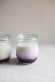 Homemade Yogurt (Plain and Fruit) - ZoëBakes