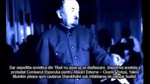 Copii, adolescenți și adulți totodată. Documentare Traduse In Romana Youtube