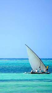 The Pursuit Of Excellence Ocean Zanzibar Sailing