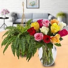 Flower parts, flower shapes, leaf types. Good Luck Indoor Plant N Flowers Gift Duo To India