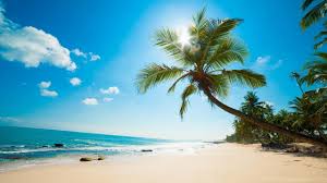Download hd beach wallpapers best collection. Beach Wallpapers Caribbean Download Hd Wallpapers Desktop Caribbean Beach Wallpaper Hd 2560x1440 Wallpaper Teahub Io