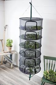 Stack T Herb Waschestander Pflanzen Krauter Trocknen Garten